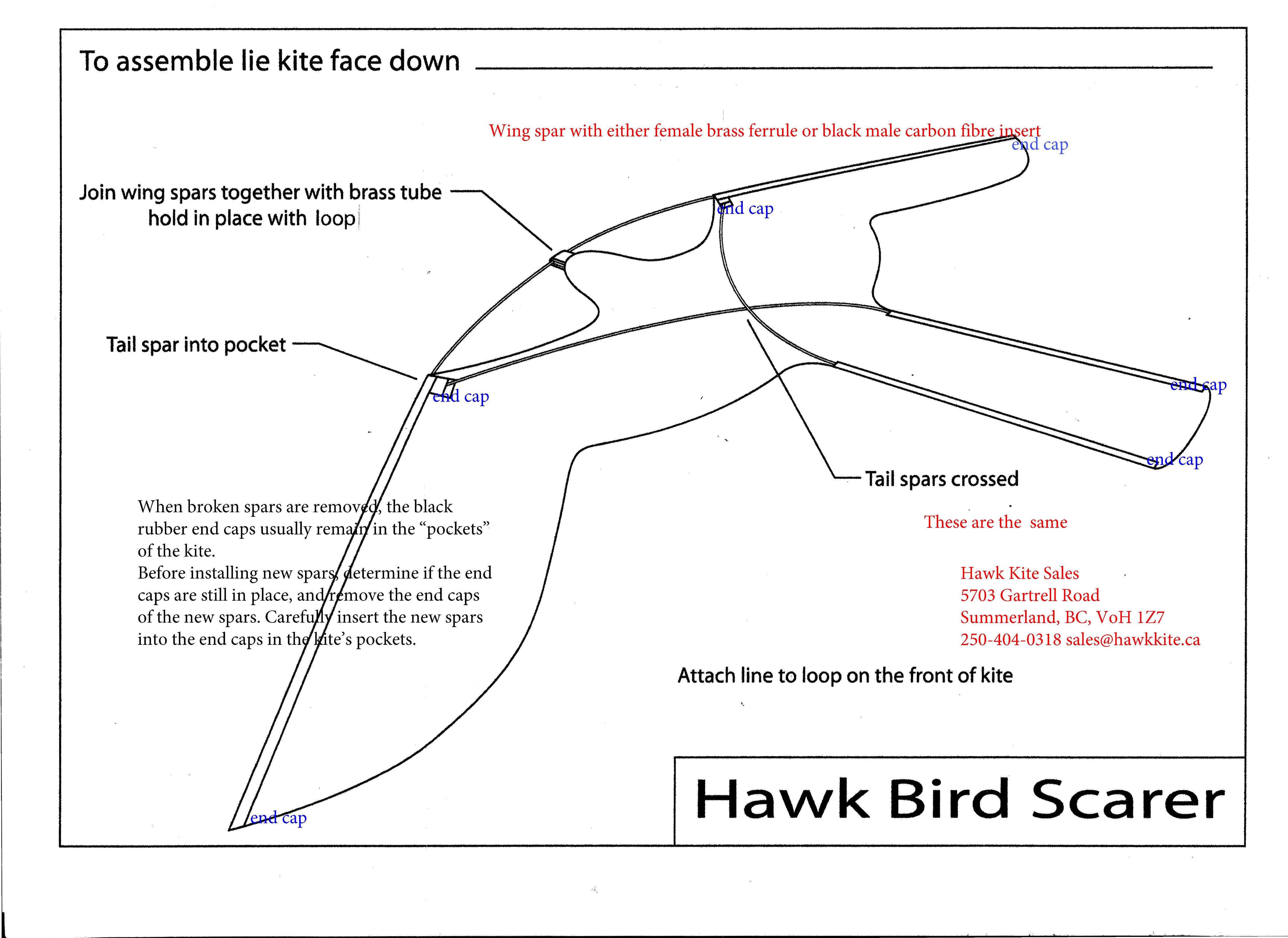 Hawk Kite Assembly