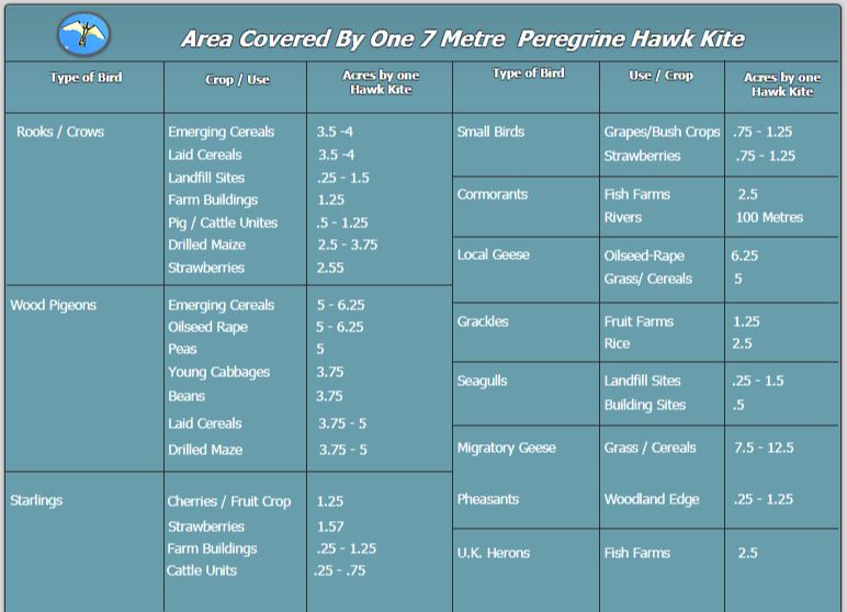 hawk coverage